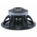 15TBW100 8ohm B&C