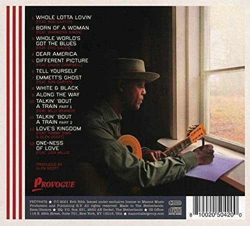 Eric BIBB - DEAR AMERICA (2 LP)