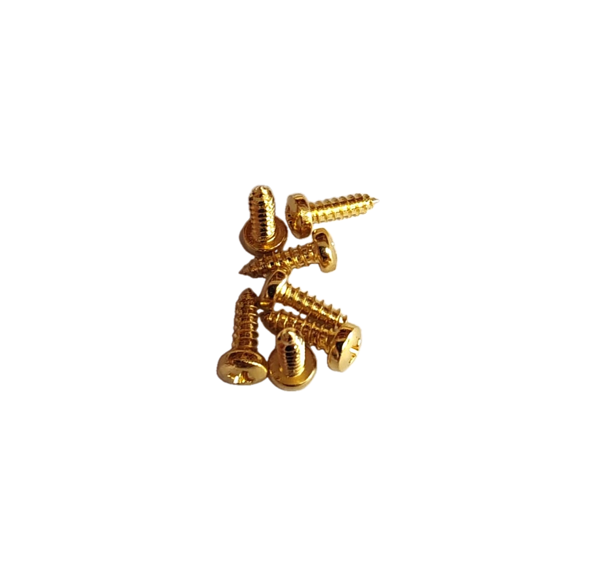Vite a croce brugola gold 2,5x10 - placcata oro 24k