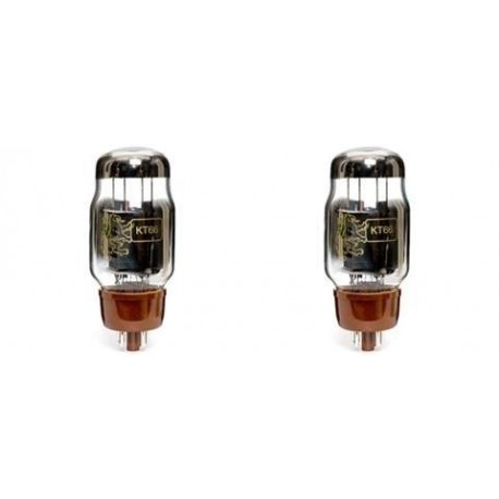 KT66 Genalex Coppia-pair