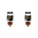 KT66 Genalex Coppia-pair