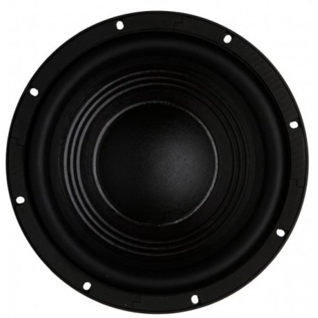 12BG100 8ohm neo B&C 