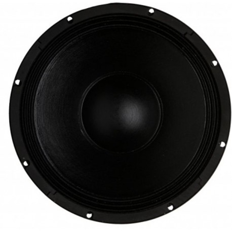 12HPL51 8ohm neo B&C 