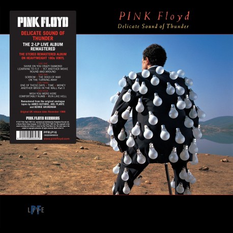 PINK FLOYD - DELICATE SOUND OF THUNDER (2 LP)