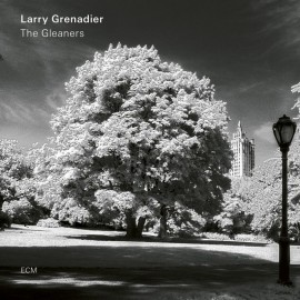 Larry GRENADIER - THE GLEANERS (LP)