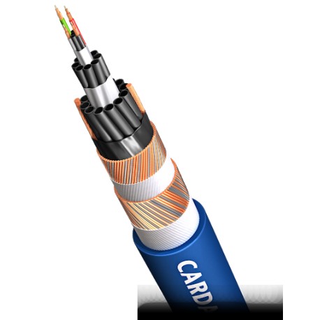 Cardas Clear Beyond signal 2x0,5 mt RCA
