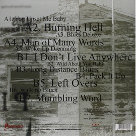 Joe BONAMASSA - BLUES DELUXE (LP)