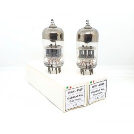 6H2N - 6N2P Vodshod Russia Grey Box Plates NOS Pair (v11 - v17)