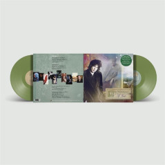 THE WATERBOYS - AN APPOINTMENT WITH MR. YEATS (2 LP)