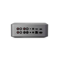 copy of Wiim Pro - Streamer DAC di Rete
