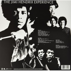 The Jimi HENDRIX EXPERIENCE - ARE YOU EXPERIENCE (2 LP)