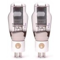 copy of 2A3 EH GOLD Grid Coppia-pair (N)