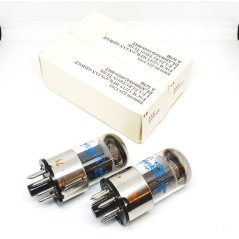 6J5WGT - CV1067 PhilipsECG usa NOS-NIB Coppia / Pair (v23 - v24)