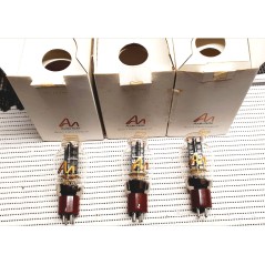 300B Audio Note Carbonised Anode Terzetto (v1-2-4)