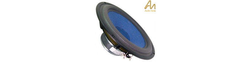 Altoparlanti