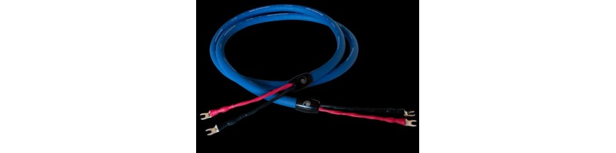 Cables for Speakers