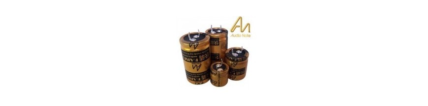 Electrolytics Capacitors