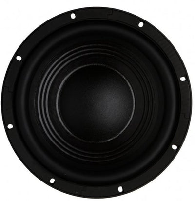 12BG100 8ohm neo B&C 