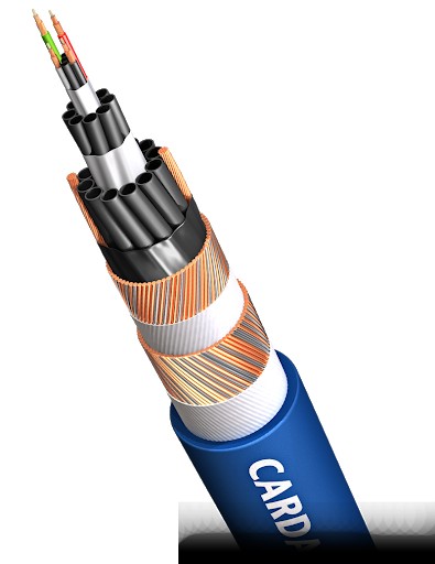 Cardas Clear Beyond signal 2x0,5 mt RCA