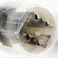 5V4G-GZ32-CV593 RFT Foreign 1964 NOS-NIB Singola (v22)