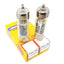 E80CC - 6085 Philips NOS-NIB BOX Plates Coppia (v2 - v6)
