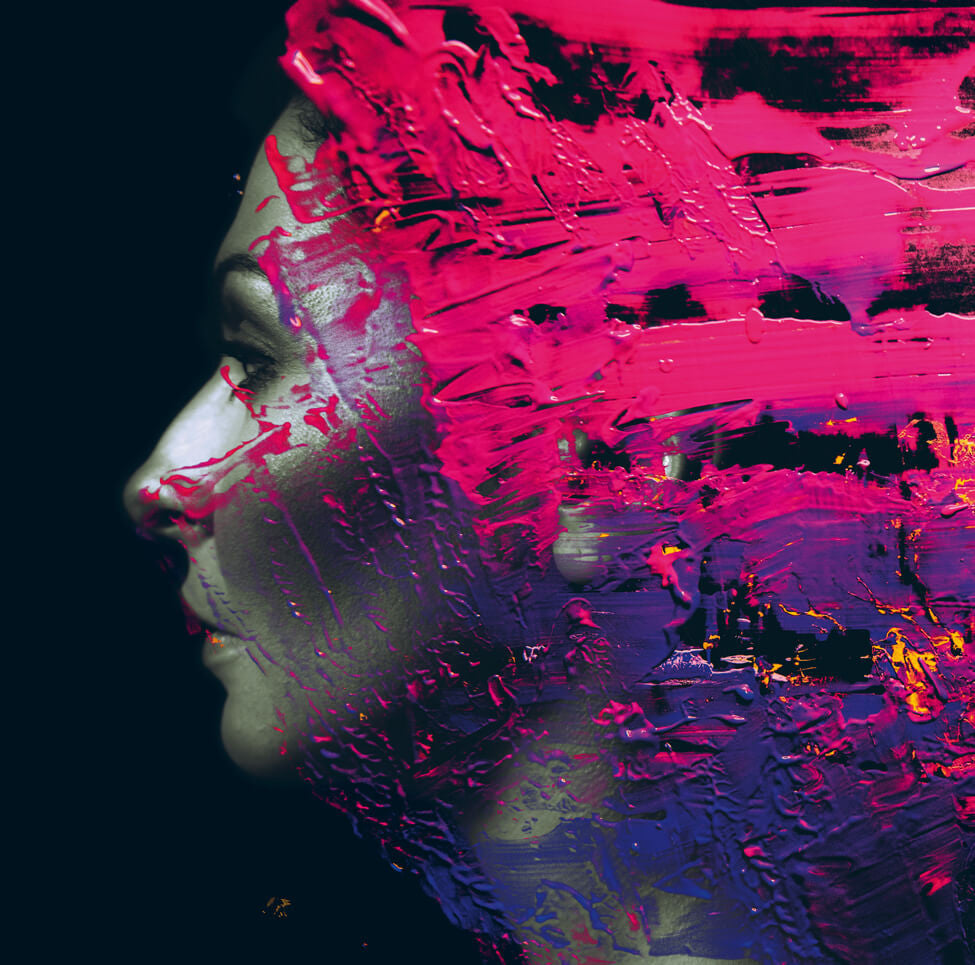 Steven WILSON - HAND. CANNOT. ERASE. (2 LP)