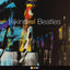 Erasmo BENCIVENGA, Nicola BORRELLI, Giorgio RAPONI - KIND OF BEATLES (CD)