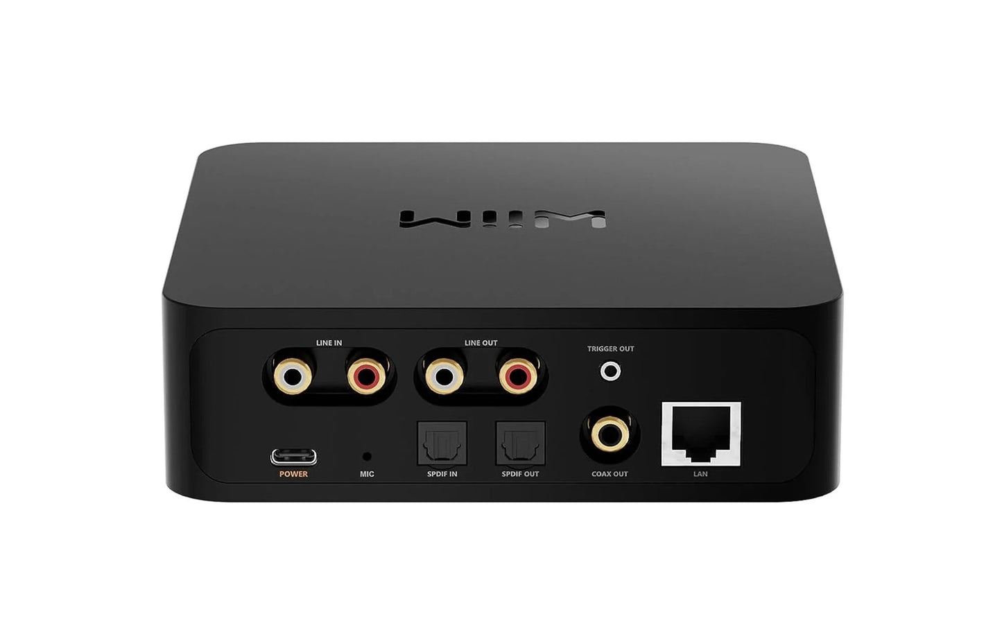 Wiim Pro Plus - DAC, Streamer di Rete