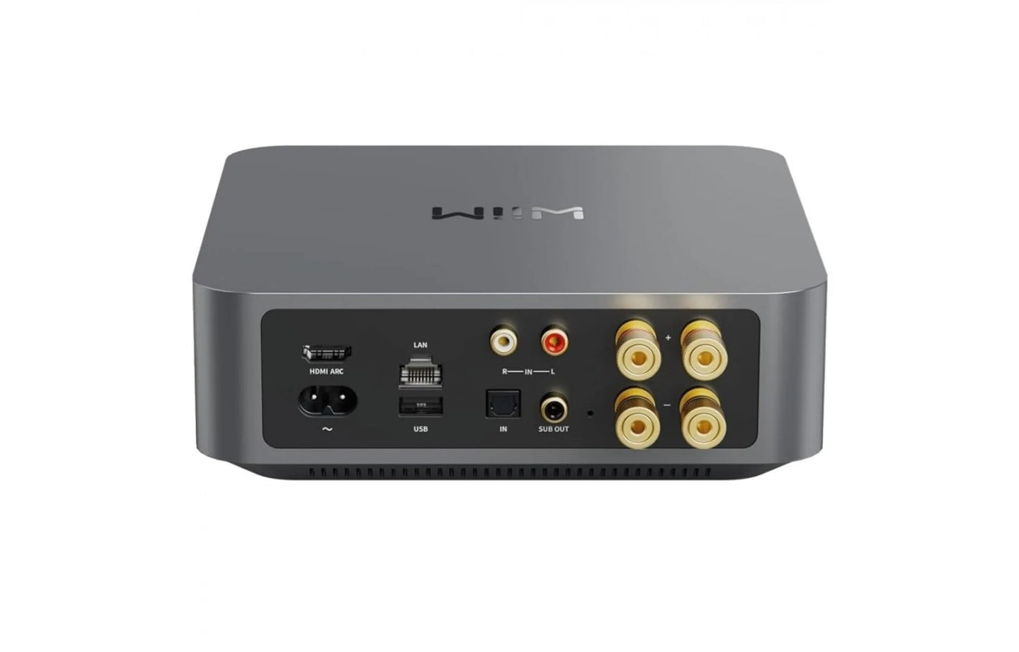 Wiim Amp - Amplificatore, DAC, Streamer di Rete
