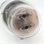 2A3 OCTAL BASE Raytheon o Sylvania NOS RARA Singola (v28)