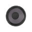 RAGIN CAJUN - 10" Lead / Rythm Guitar speaker - 16 ohm