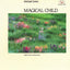 Michael JONES - MAGICAL CHILD (CD)