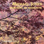 Michael Jones - Morning In Medonte (CD)